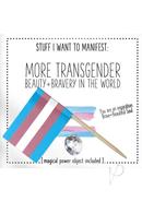 More Transgender Beauty